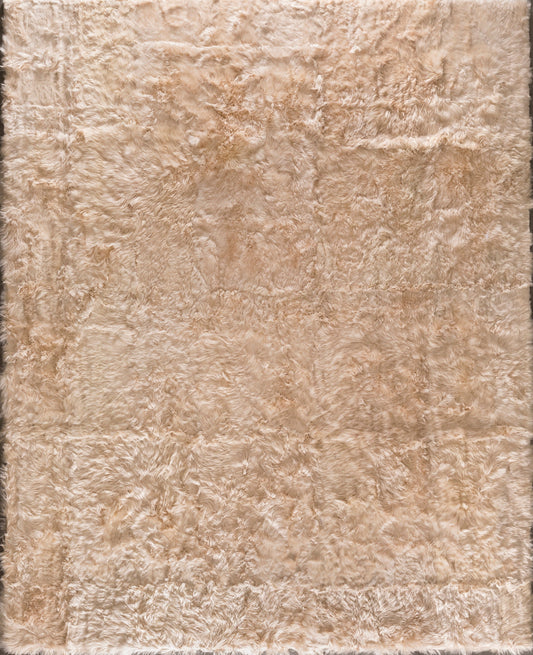 Alpaca