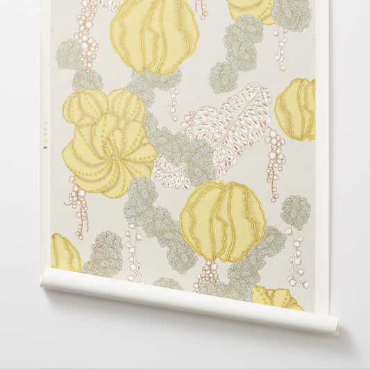 Succulent - Yellow