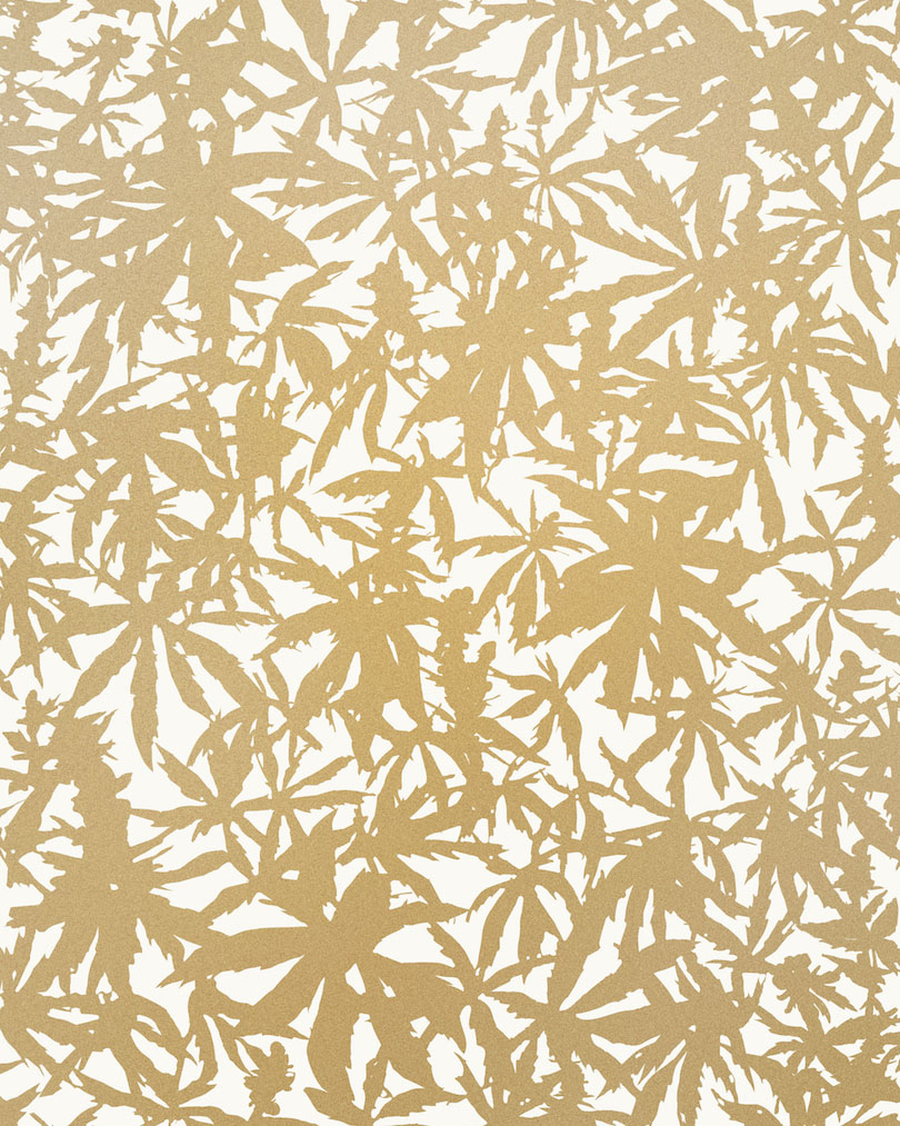 Wild Thing - Gold on Cream