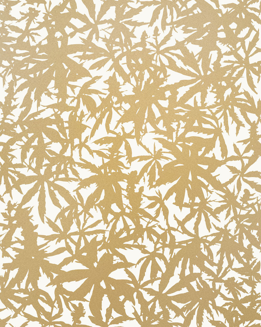 Wild Thing - Gold on Cream